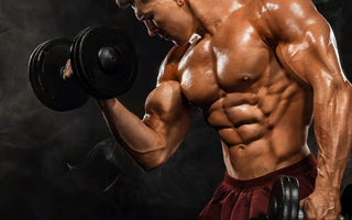 The Number 1 Lean Muscle Builder Available - Pureline Nutrition